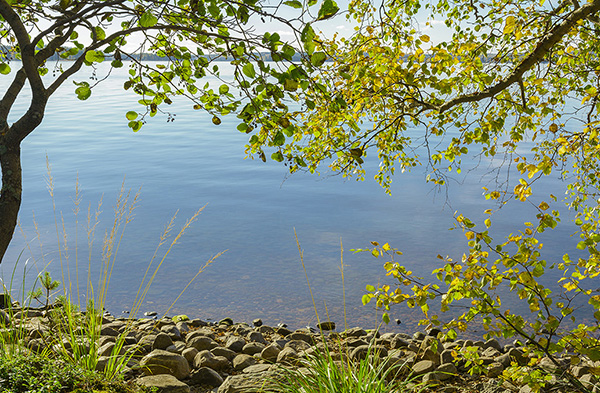 Järvimaisema